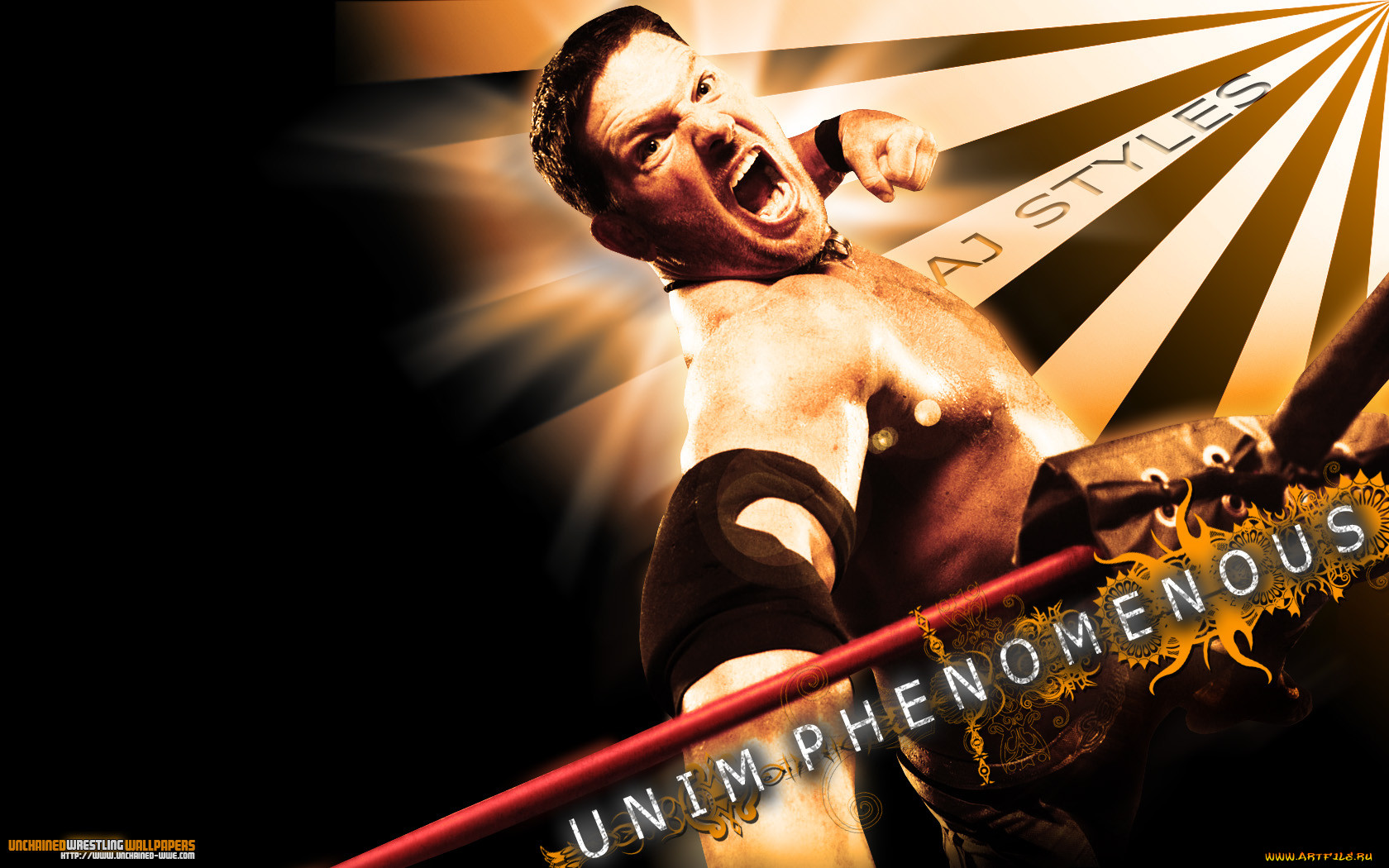 , wwe